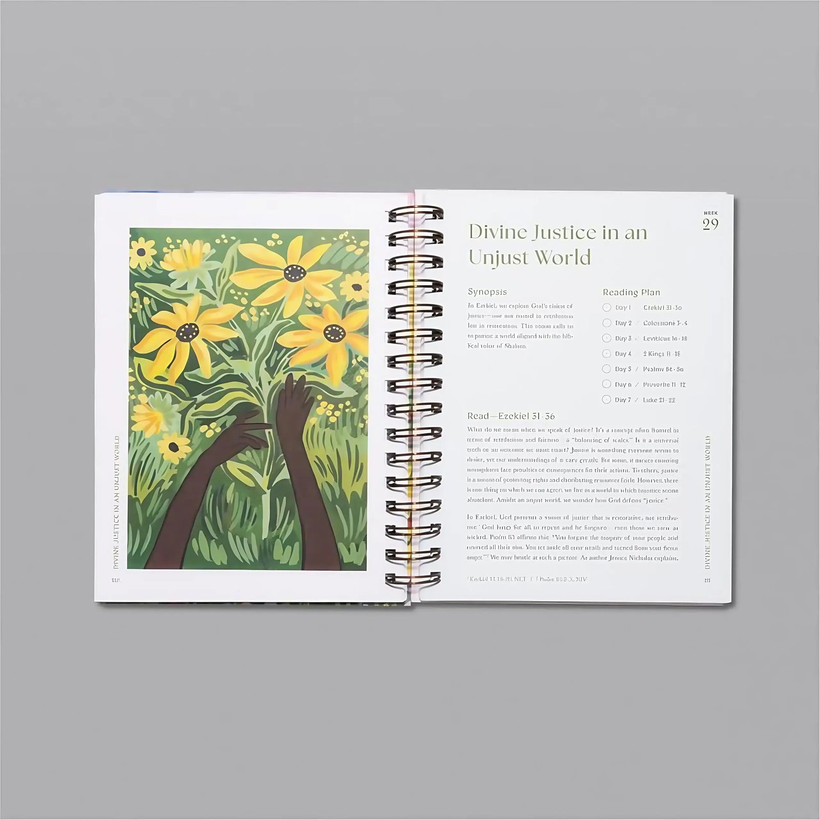 A Beautiful Year In The Bible: A 52 Week Bible Study
